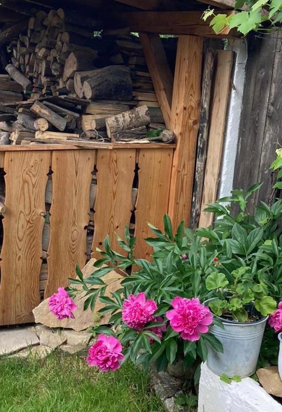 ホテル Casa Eva Wagner - ビエルタン エクステリア 写真